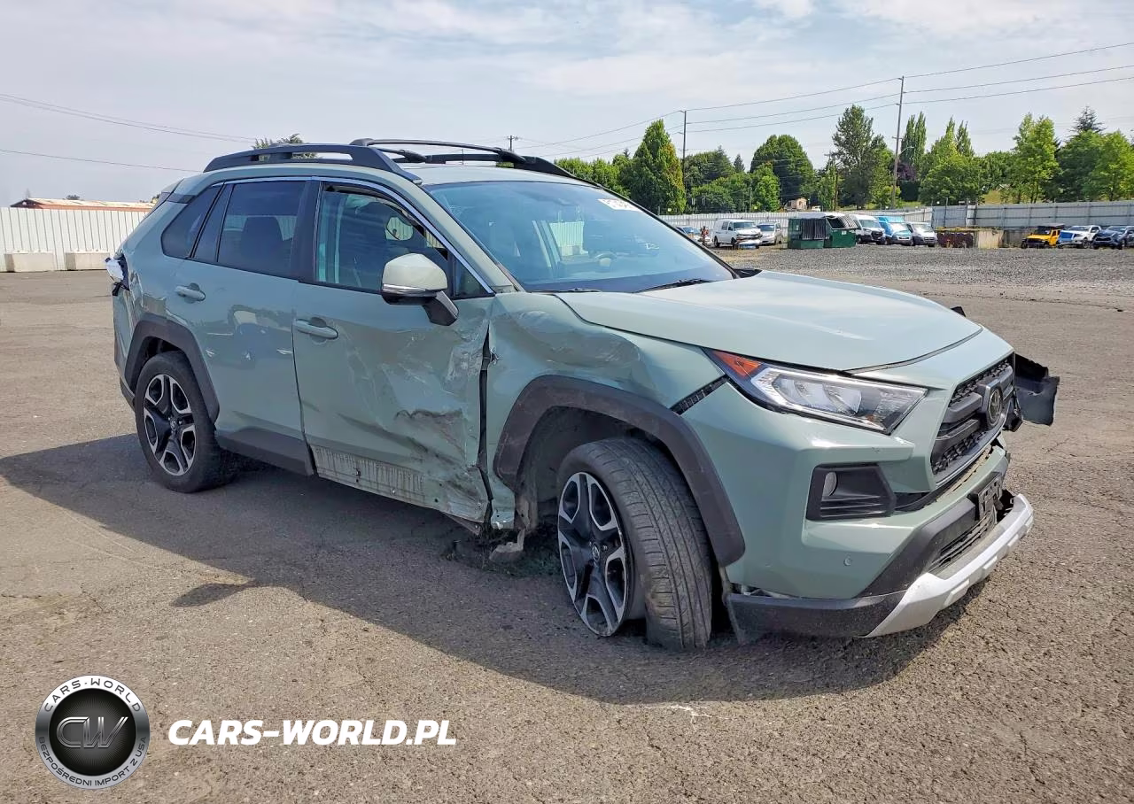 2019 Toyota Rav4 Adventure VIN:2T3J1RFV6KC019449 - 4