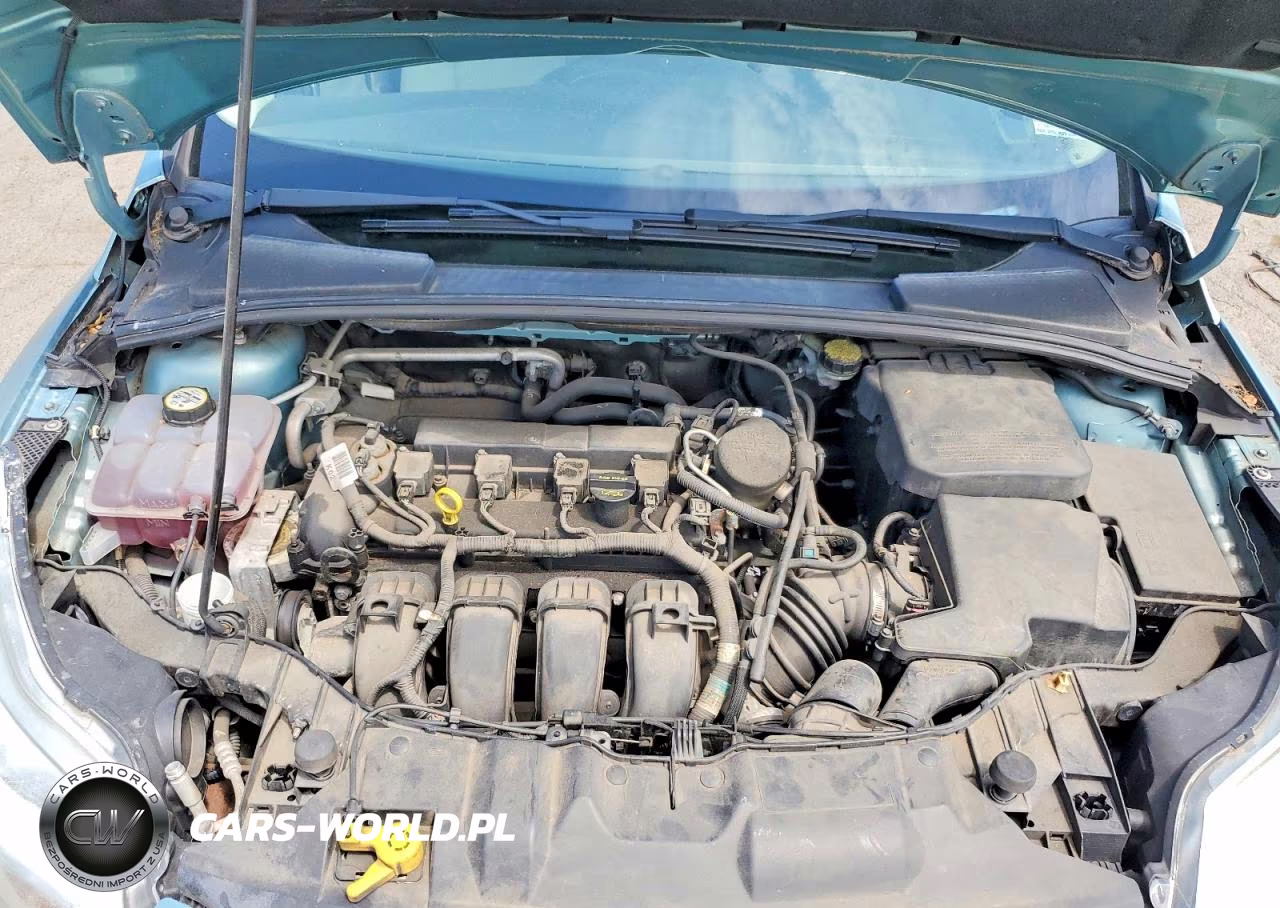 2012 Ford Focus Sel VIN:1FAHP3H24CL411027 - 11