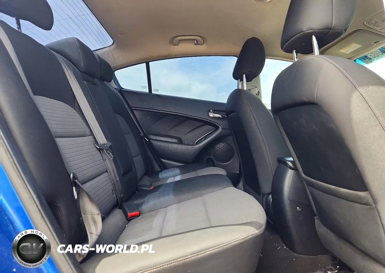 2014 Kia Forte Lx VIN:KNAFX4A65E5109898 - 10
