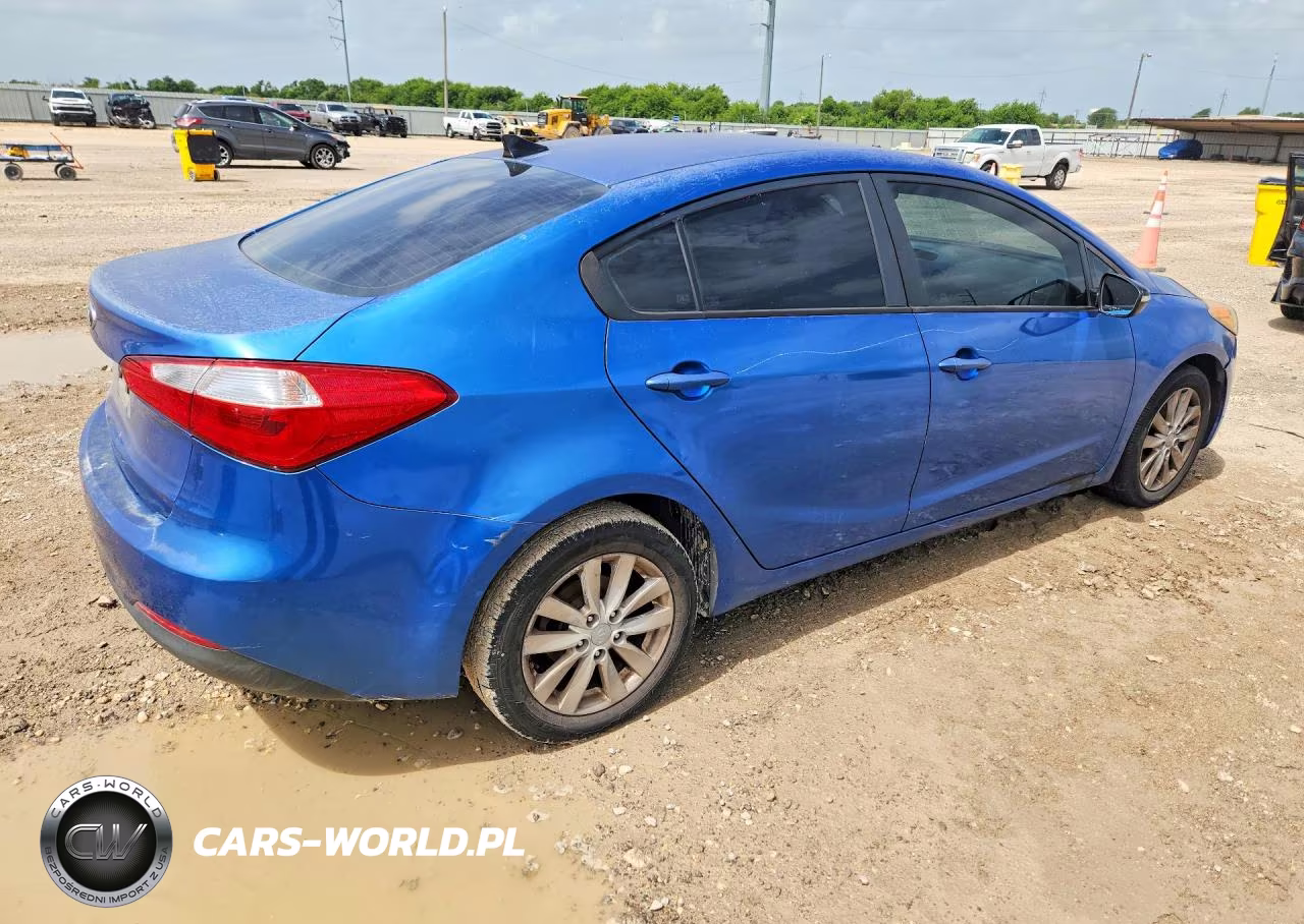 2014 Kia Forte Lx VIN:KNAFX4A65E5109898 - 3