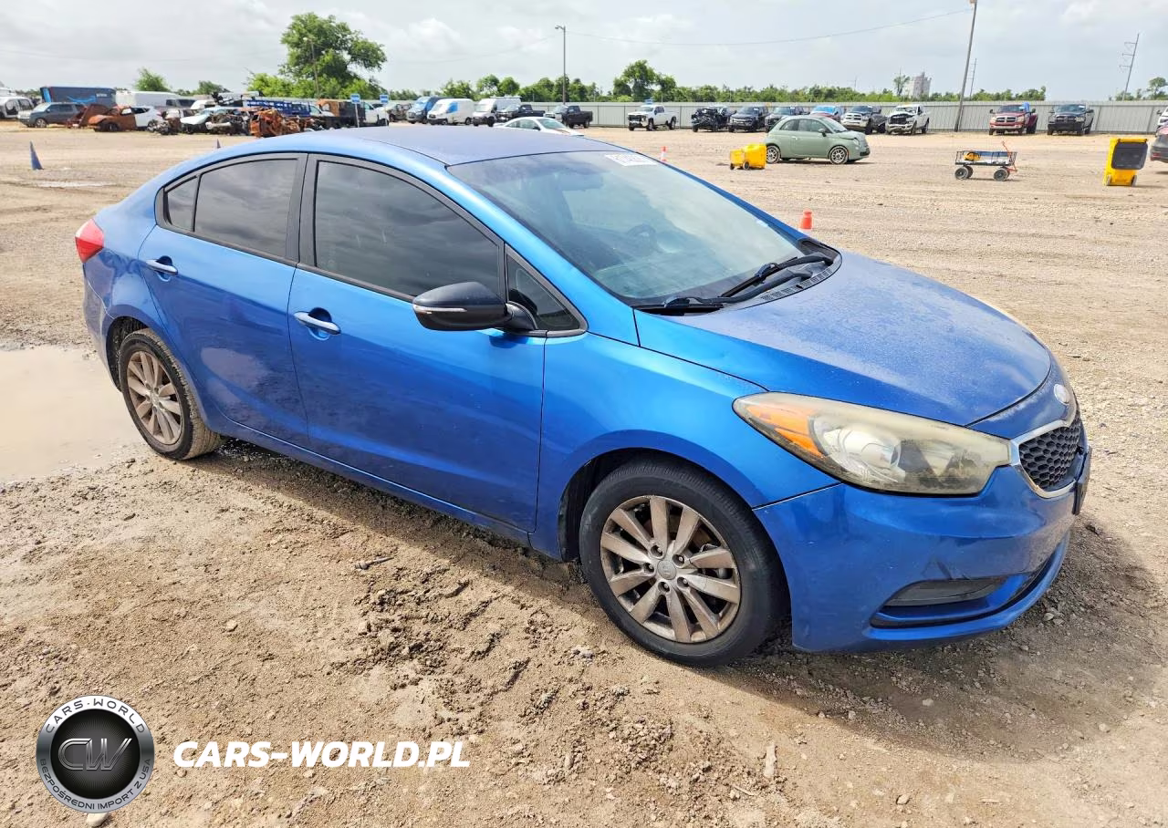 2014 Kia Forte Lx VIN:KNAFX4A65E5109898 - 4