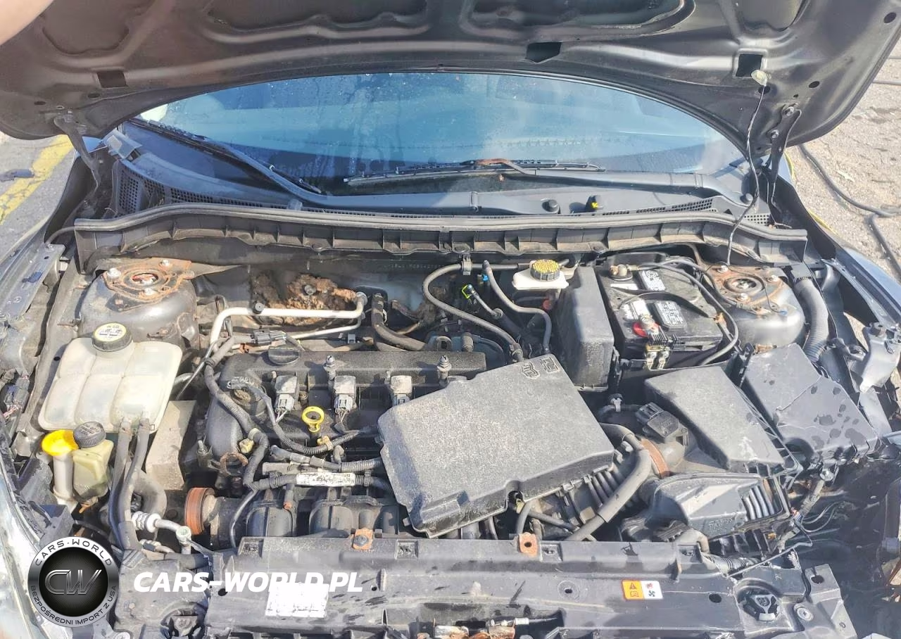 2011 Mazda 3 I VIN:JM1BL1VF0B1427937 - 11