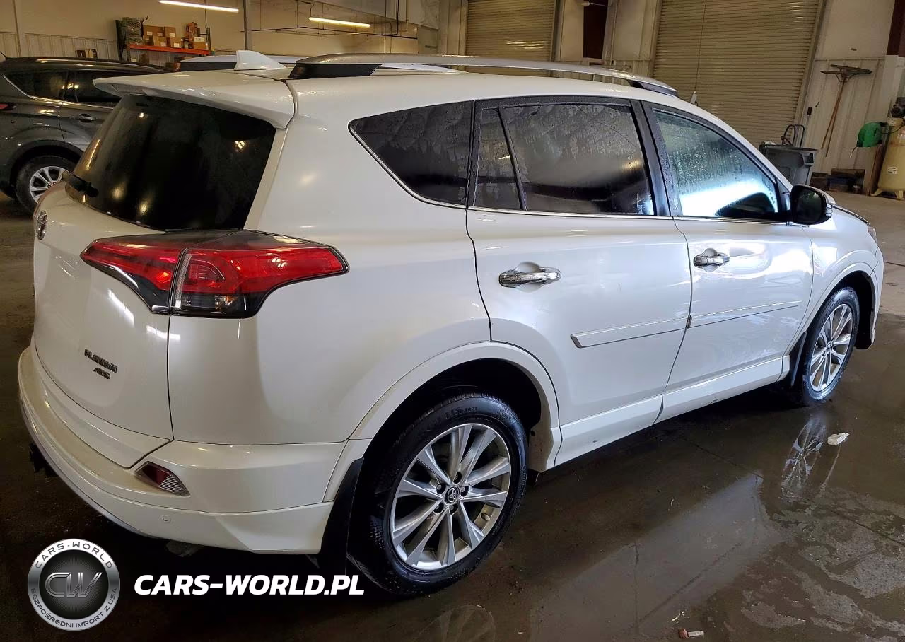 2017 Toyota Rav4 Platinum VIN:2T3DFREV3HW540300 - 3