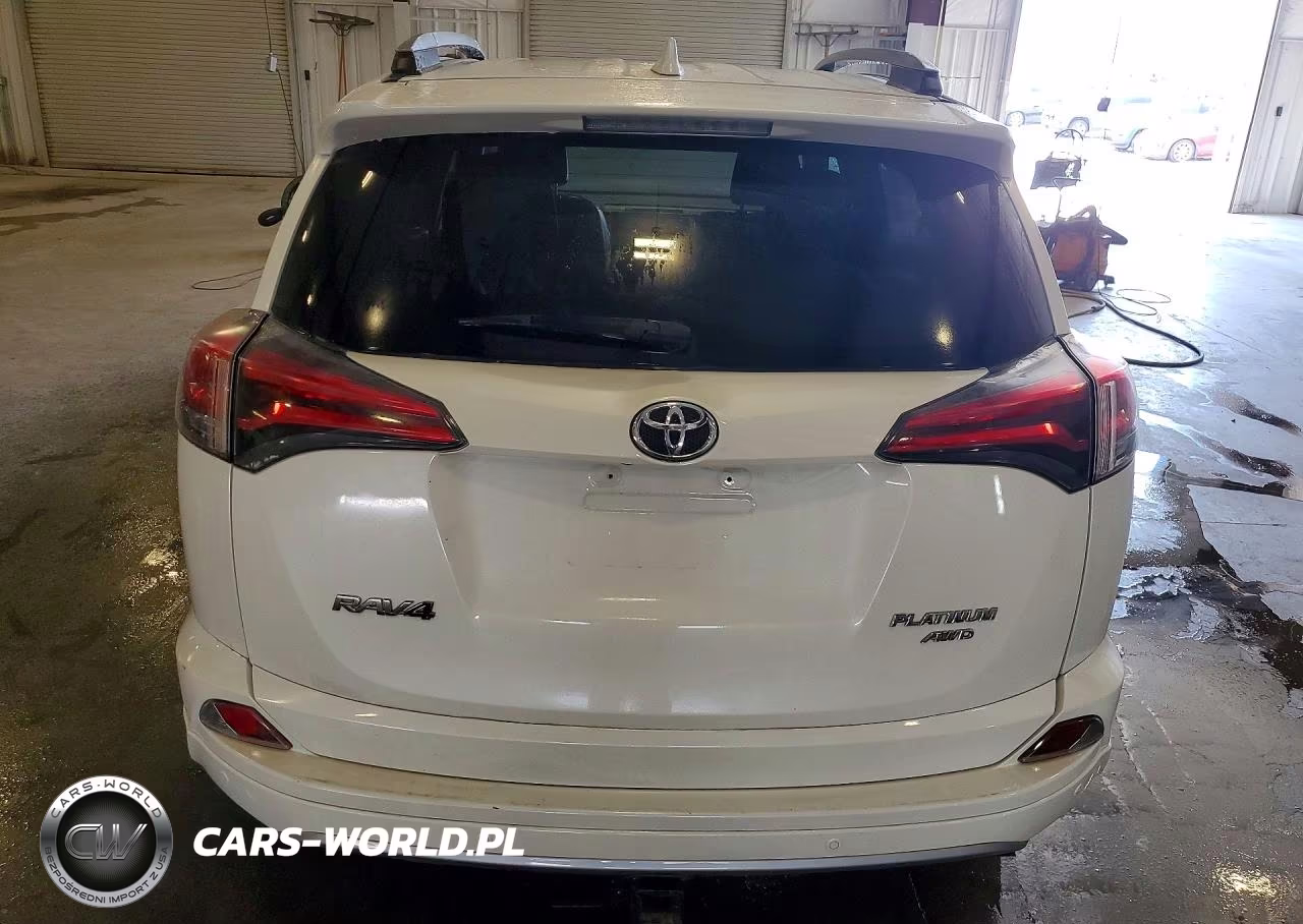 2017 Toyota Rav4 Platinum VIN:2T3DFREV3HW540300 - 6