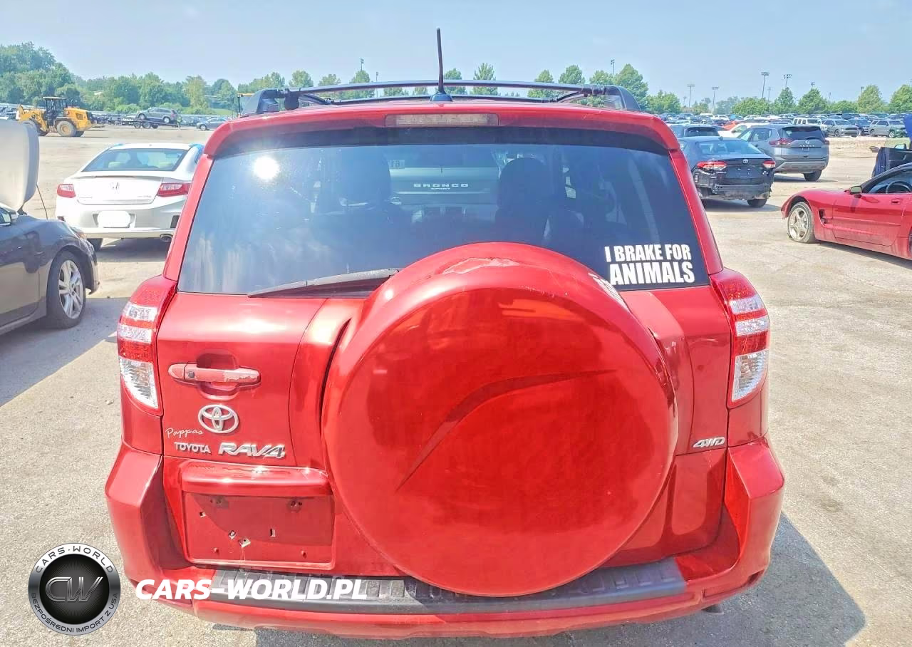 2009 Toyota Rav4 Limited VIN:2T3BK31V79W003923 - 6