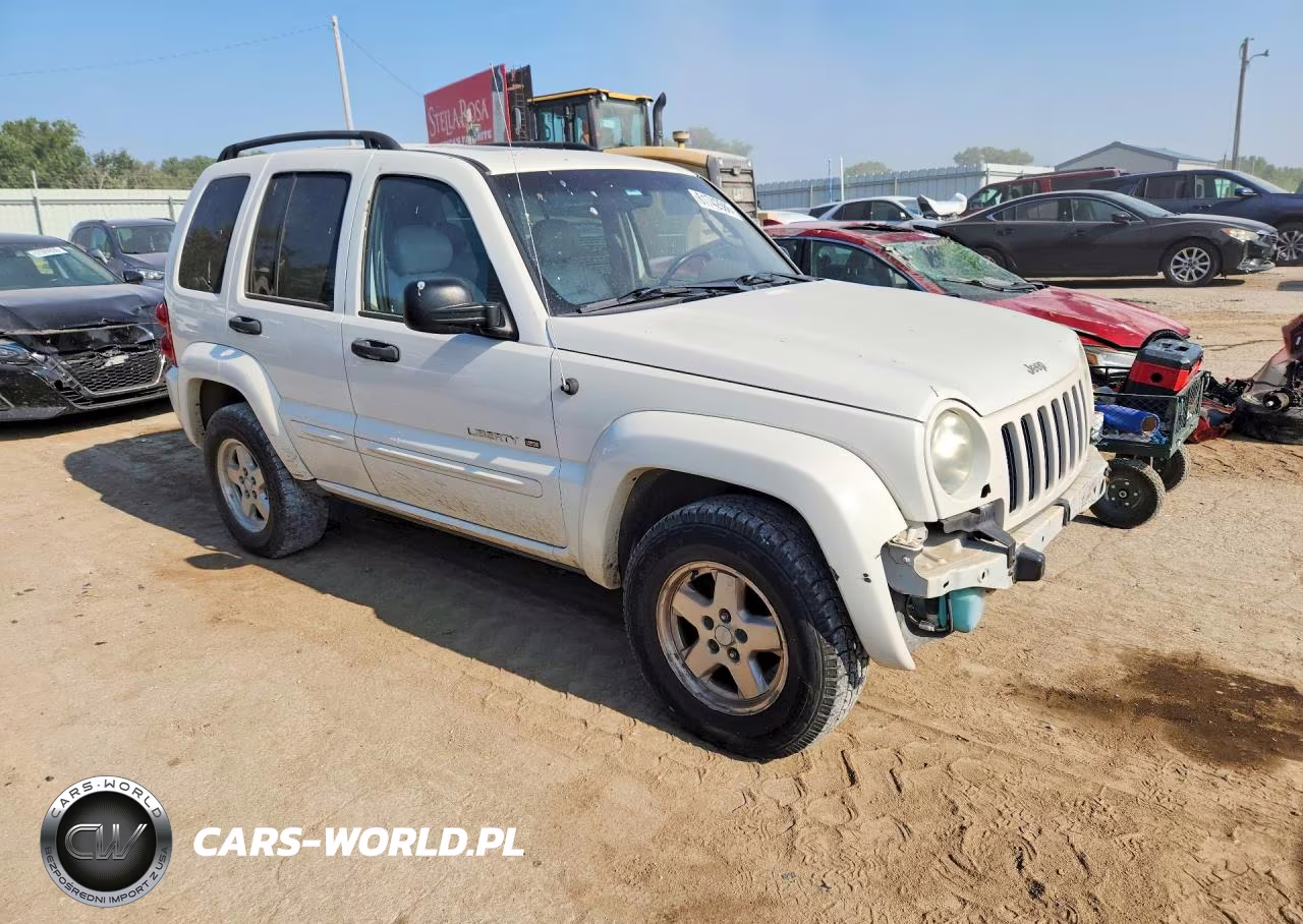 2003 Jeep Liberty Limited VIN:1J4GL58K93W534506 - 4