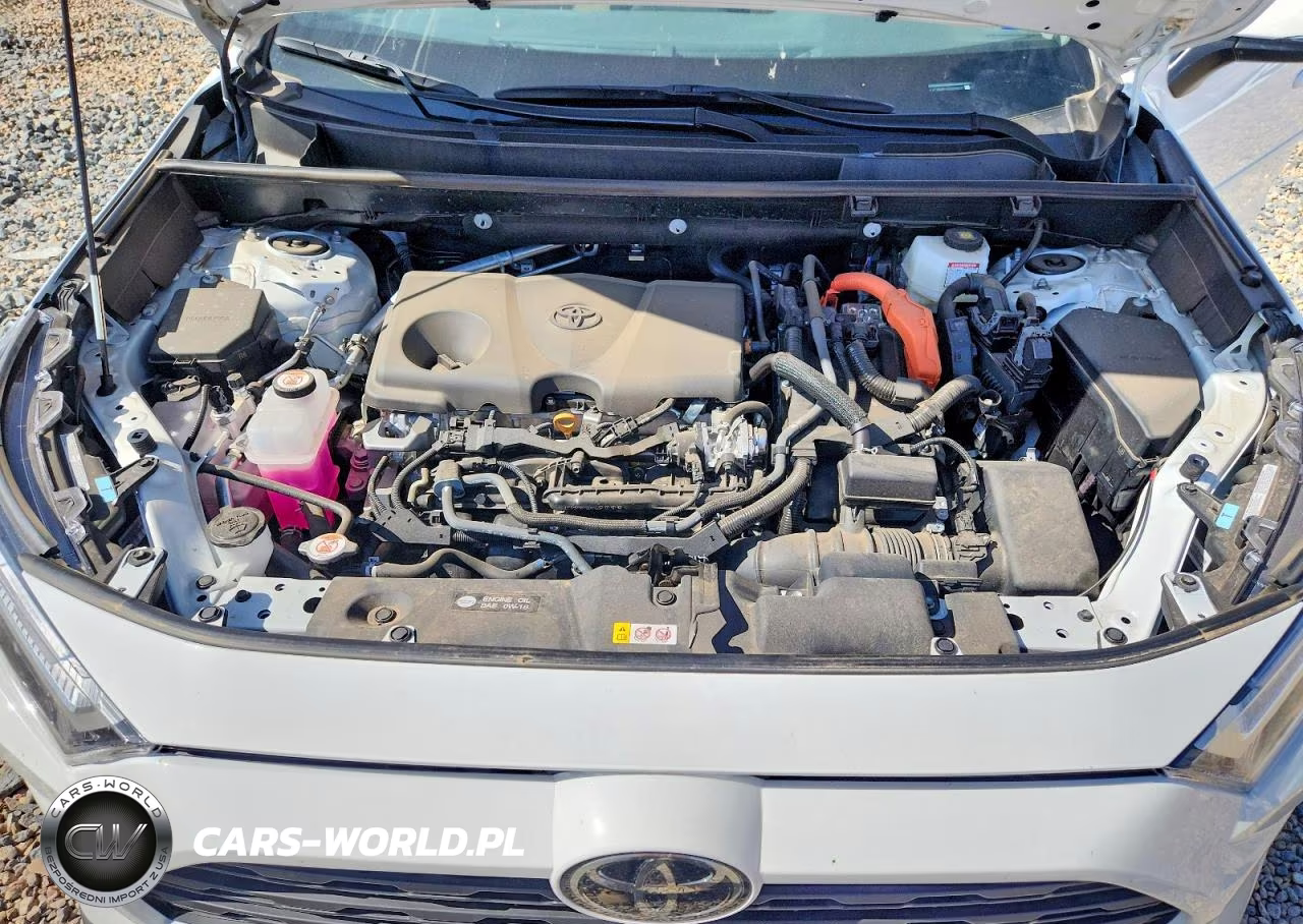 2025 Toyota Rav4 Hybrid Xle VIN:4T3RWRFV2SU206027 - 12