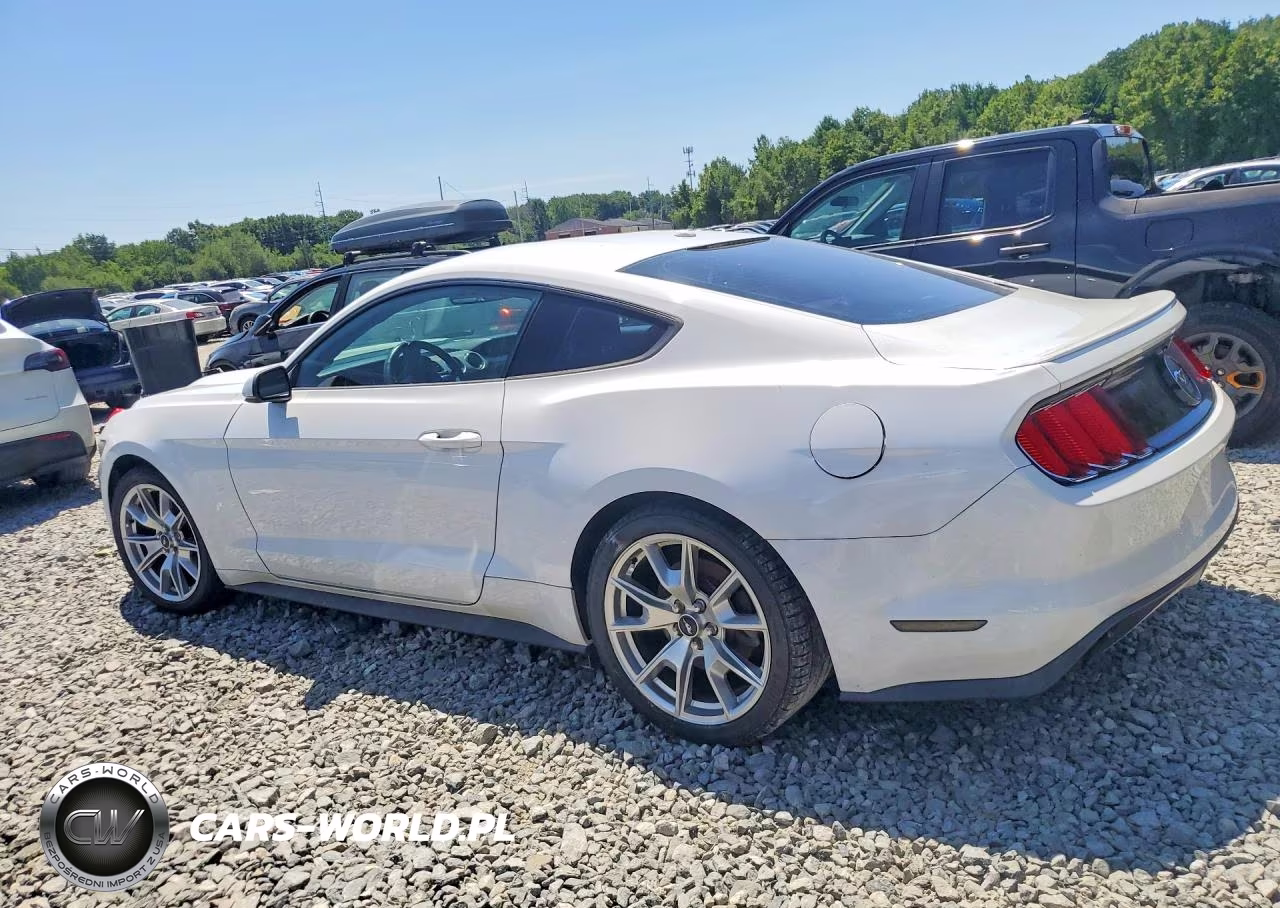 2015 Ford Mustang VIN:1FA6P8TH1F5310679 - 2