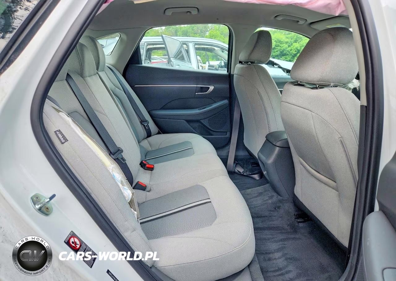 2020 Hyundai Sonata Se VIN:5NPEG4JA8LH046151 - 10