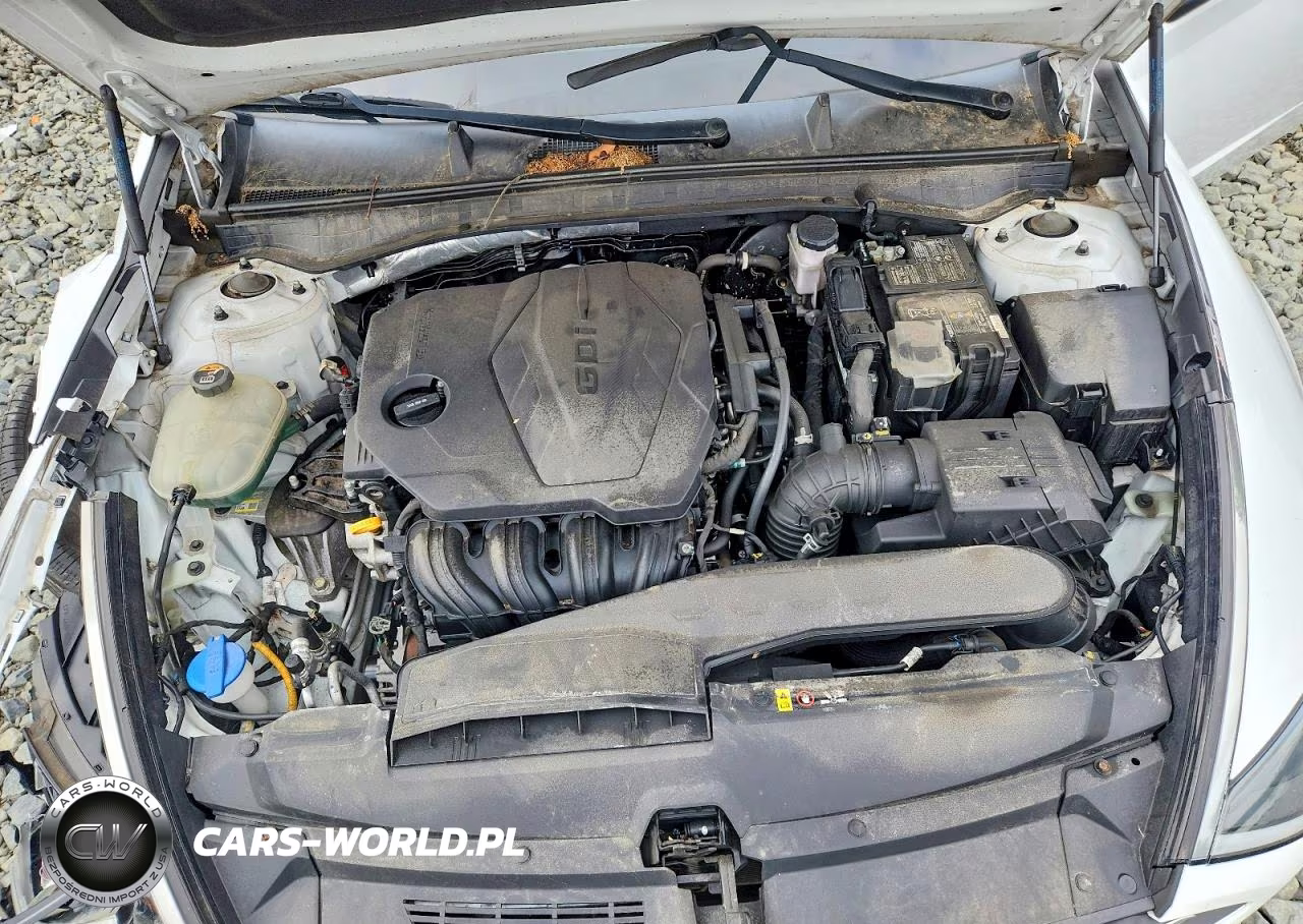 2020 Hyundai Sonata Se VIN:5NPEG4JA8LH046151 - 11