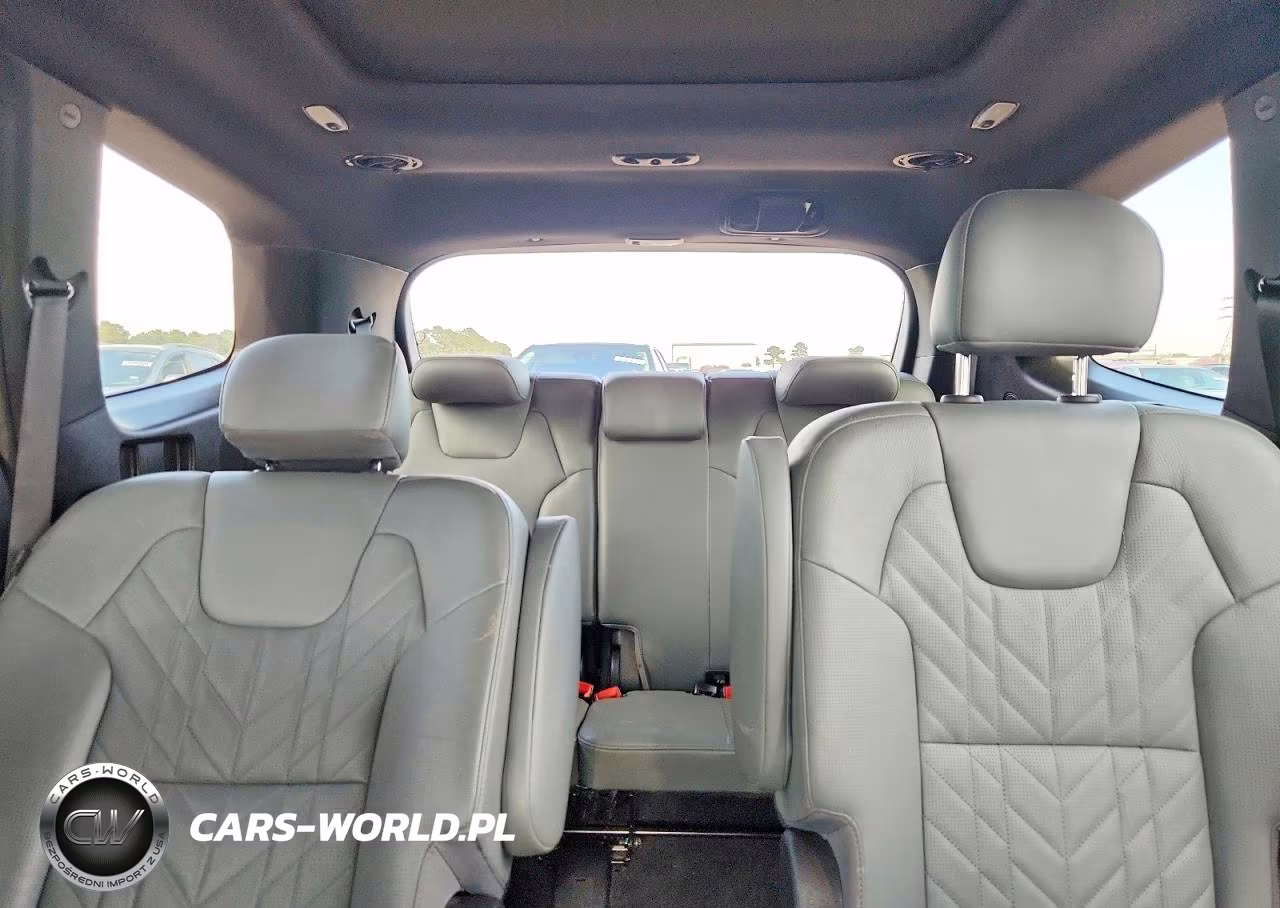 2023 Kia Telluride Sx X-Line VIN:5XYP5DGC2PG360012 - 10