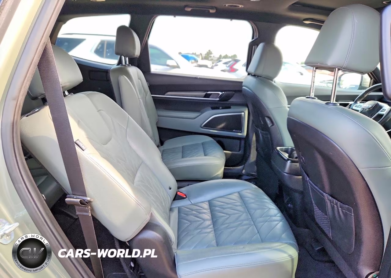 2023 Kia Telluride Sx X-Line VIN:5XYP5DGC2PG360012 - 11