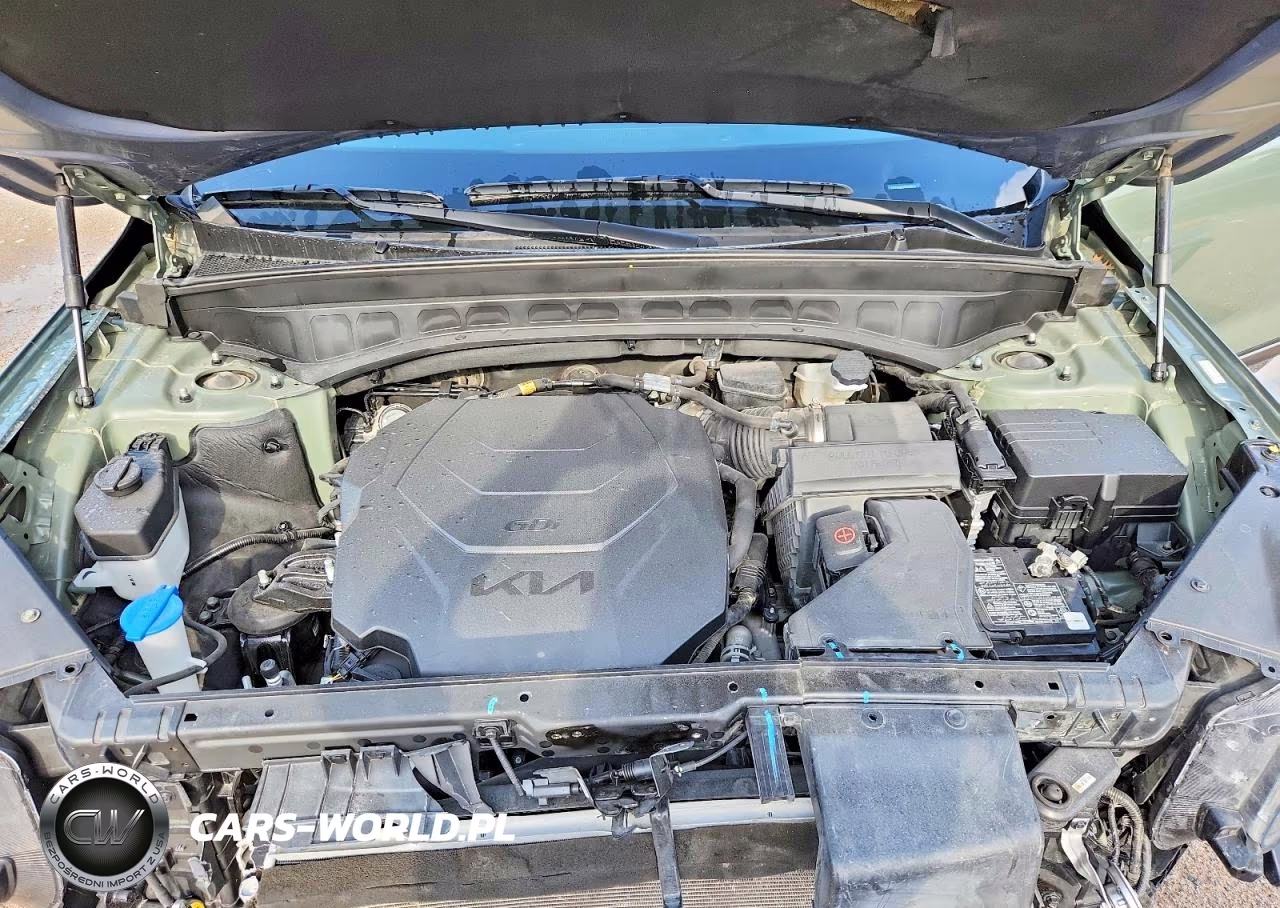 2023 Kia Telluride Sx X-Line VIN:5XYP5DGC2PG360012 - 12