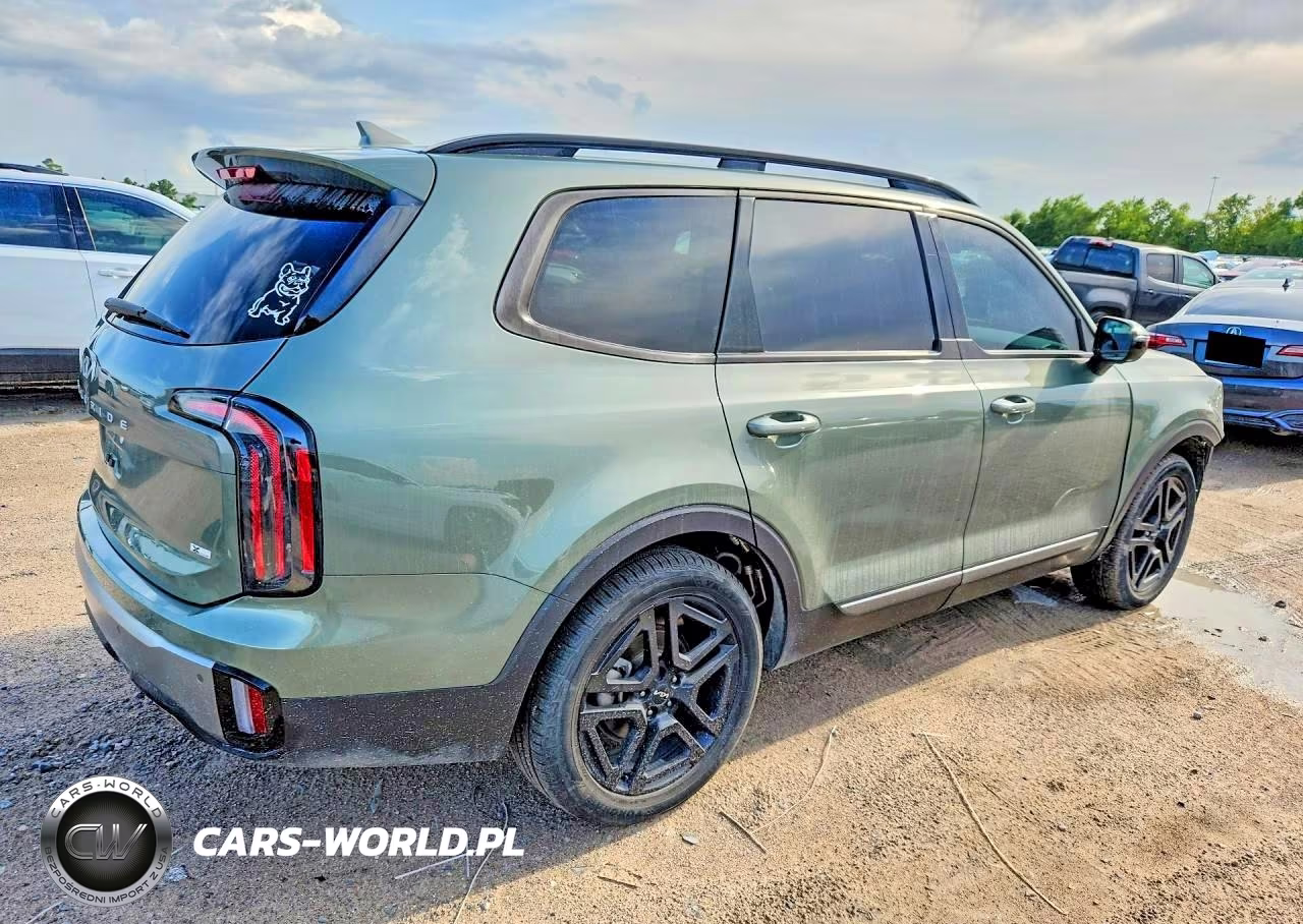 2023 Kia Telluride Sx X-Line VIN:5XYP5DGC2PG360012 - 3