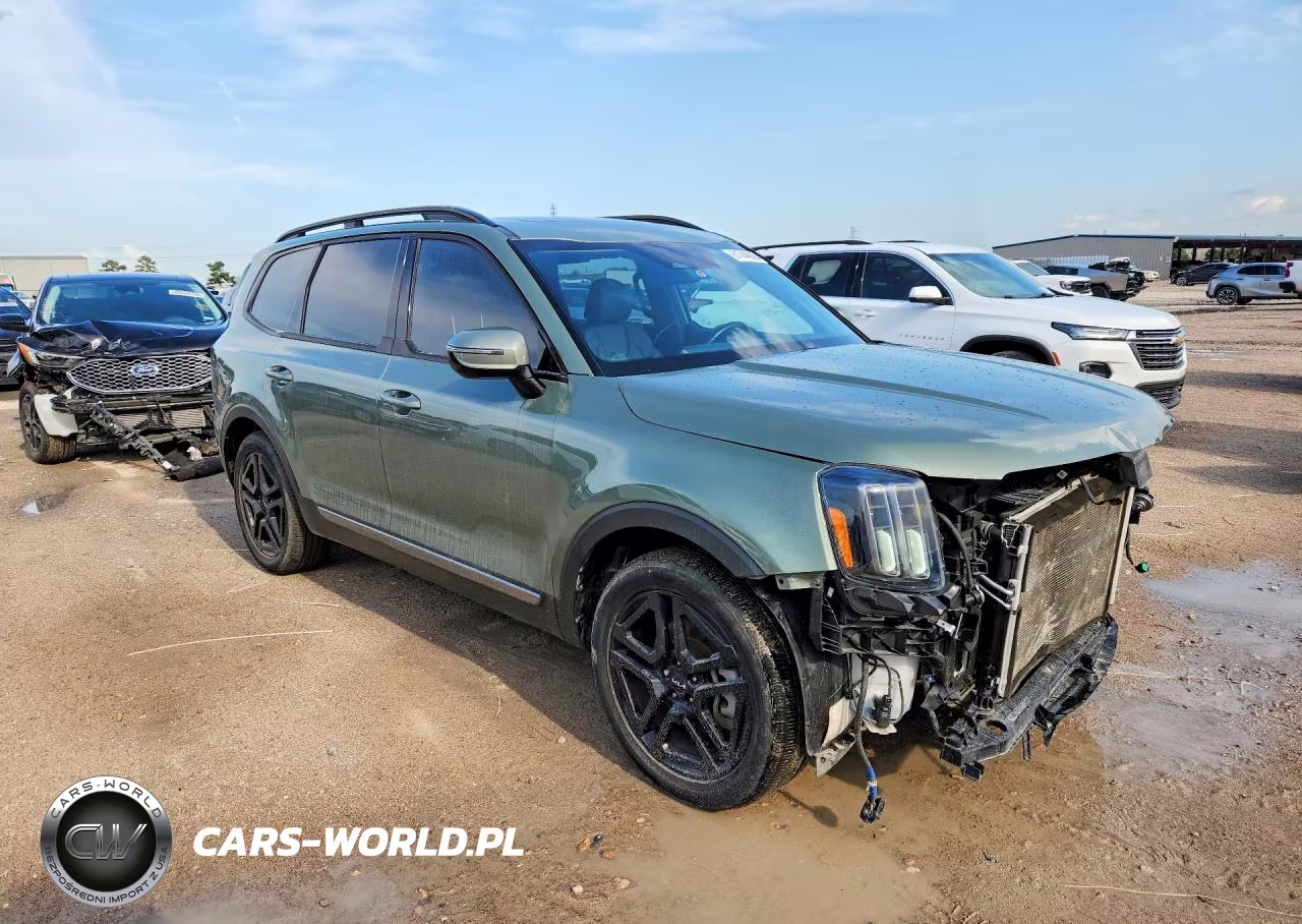 2023 Kia Telluride Sx X-Line VIN:5XYP5DGC2PG360012 - 4