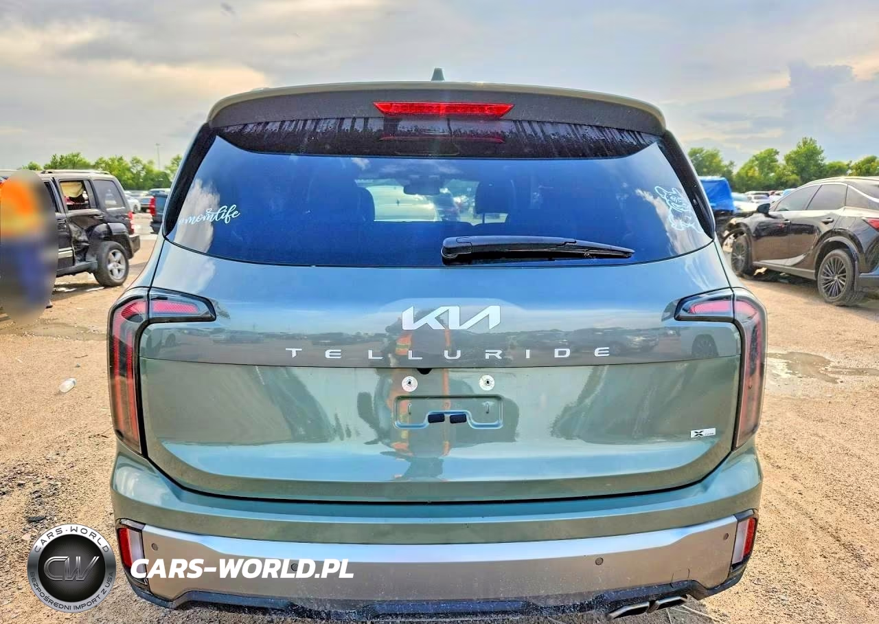 2023 Kia Telluride Sx X-Line VIN:5XYP5DGC2PG360012 - 6