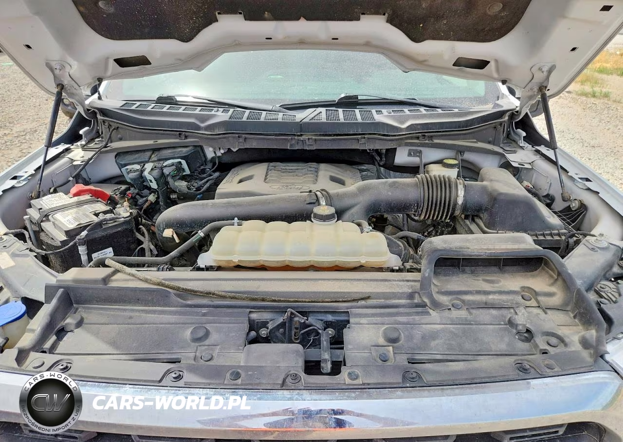 2021 Ford F150 Supercrew VIN:1FTFW1E81MFB32393 - 11