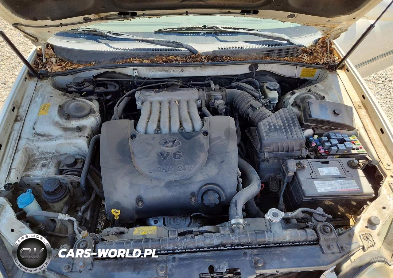 2003 Hyundai Sonata Gls VIN:KMHWF35H43A838437 - 11