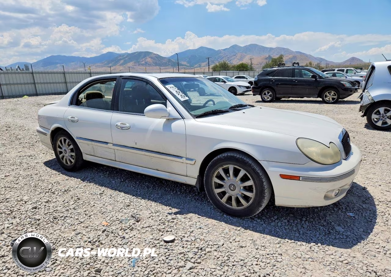2003 Hyundai Sonata Gls VIN:KMHWF35H43A838437 - 4