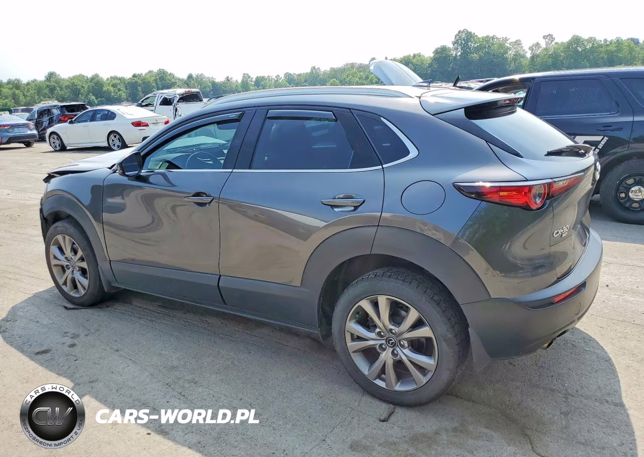 2021 Mazda Cx-30 Premium VIN:3MVDMBDL8MM205752 - 2