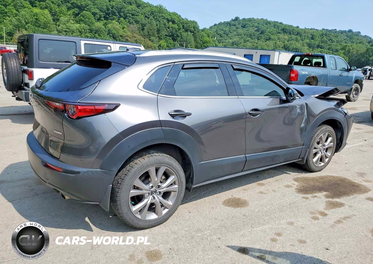 2021 Mazda Cx-30 Premium VIN:3MVDMBDL8MM205752 - 3