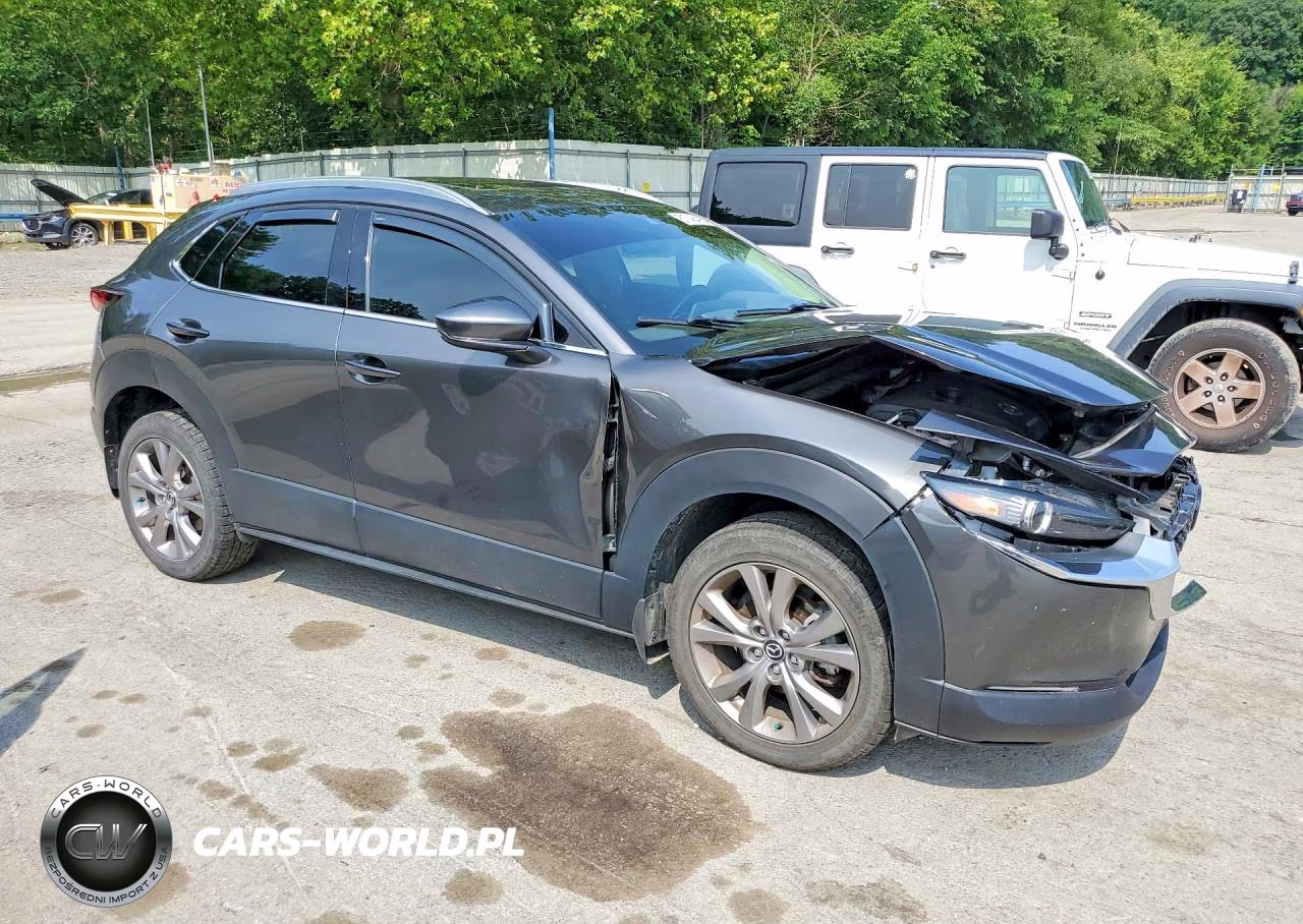 2021 Mazda Cx-30 Premium VIN:3MVDMBDL8MM205752 - 4