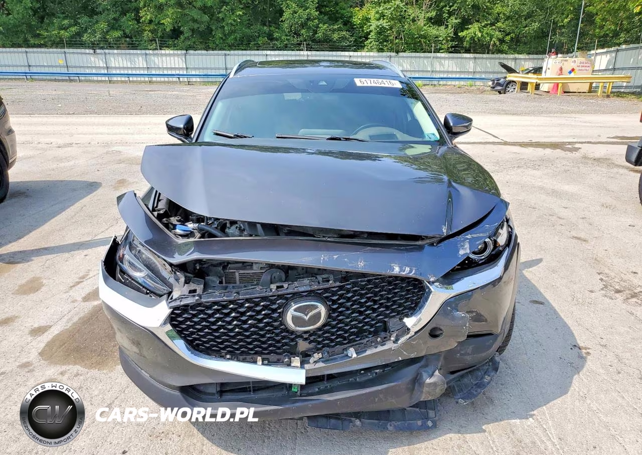 2021 Mazda Cx-30 Premium VIN:3MVDMBDL8MM205752 - 5