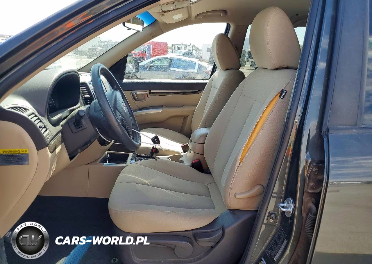 2010 Hyundai Santa Fe Gls VIN:5NMSG3AB2AH381843 - 7