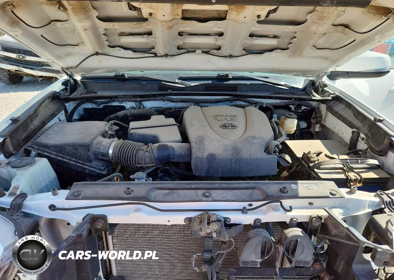 2019 Toyota Tacoma Trd Sport VIN:3TMDZ5BN4KM064880 - 11