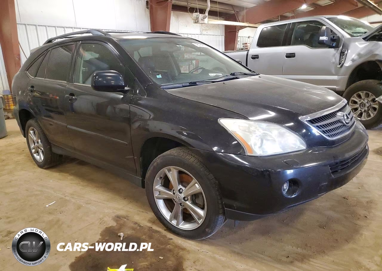 2006 Lexus Rx 400 VIN:JTJHW31U360044908 - 4
