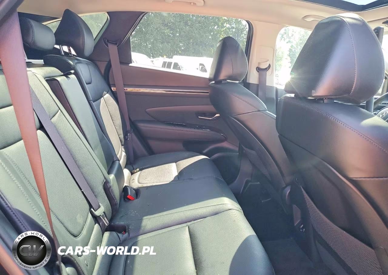 2024 Hyundai Tucson Limited VIN:KM8JECD11RU199698 - 11