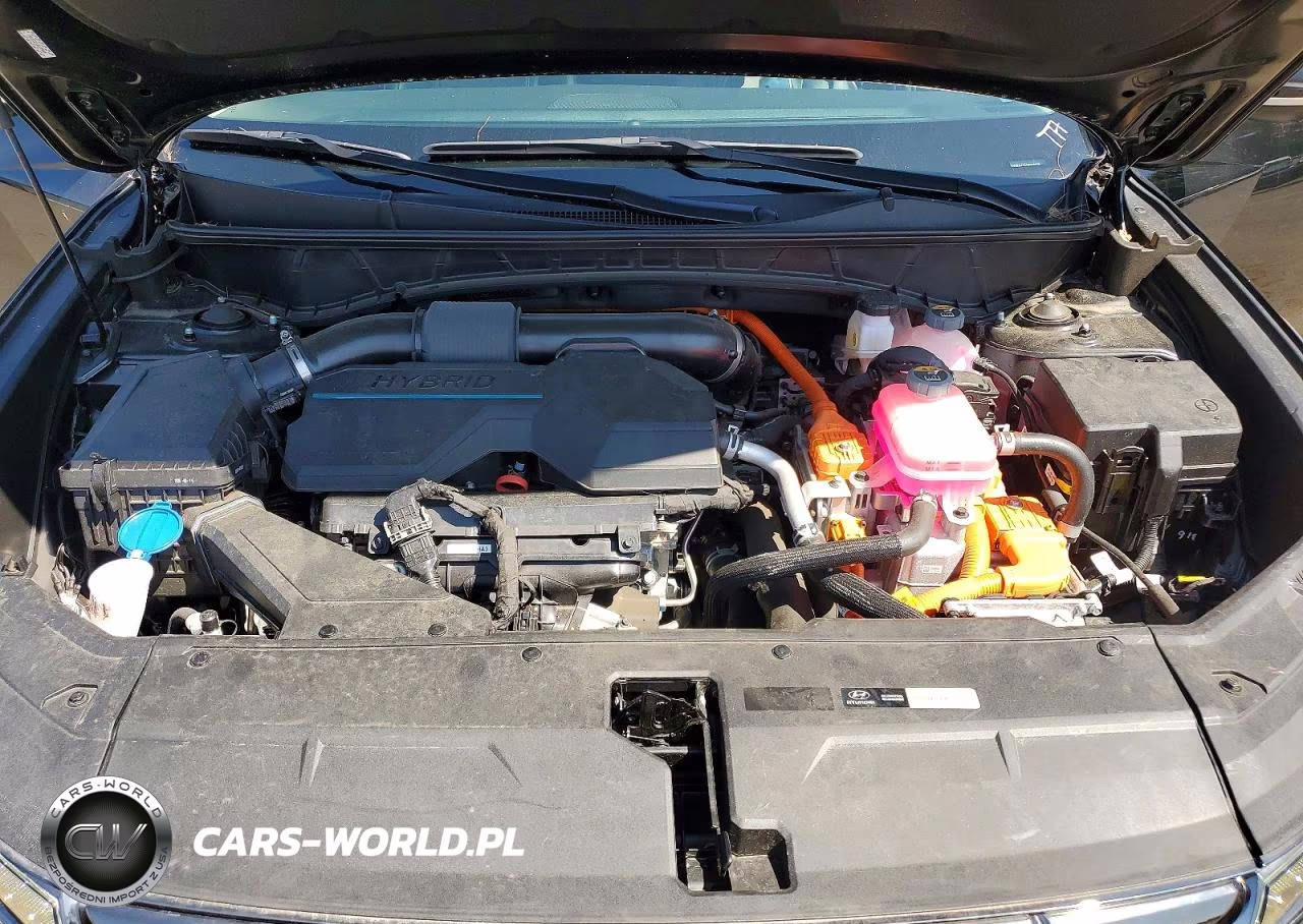 2024 Hyundai Tucson Limited VIN:KM8JECD11RU199698 - 12