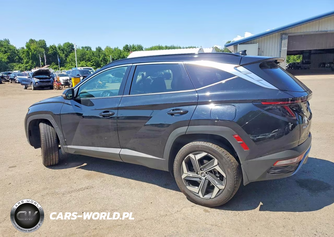 2024 Hyundai Tucson Limited VIN:KM8JECD11RU199698 - 2