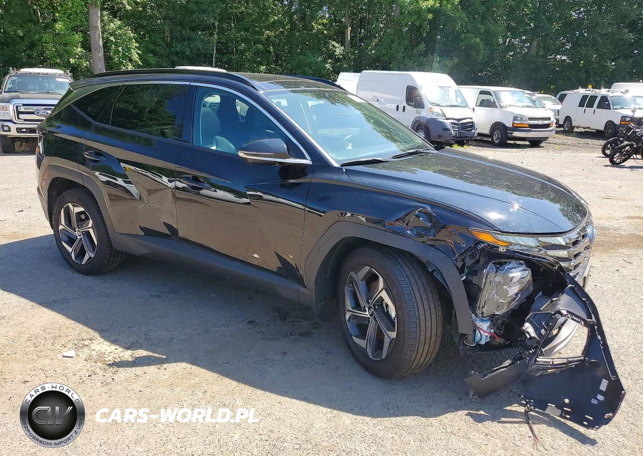 2024 Hyundai Tucson Limited VIN:KM8JECD11RU199698 - 4