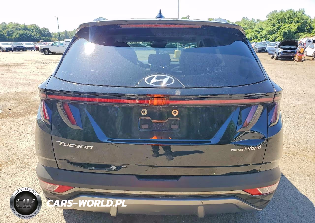 2024 Hyundai Tucson Limited VIN:KM8JECD11RU199698 - 6