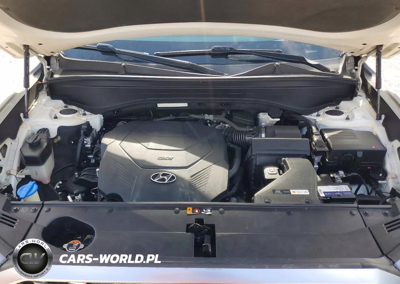 2021 Hyundai Palisade Calligraphy VIN:KM8R74HE7MU267429 - 12