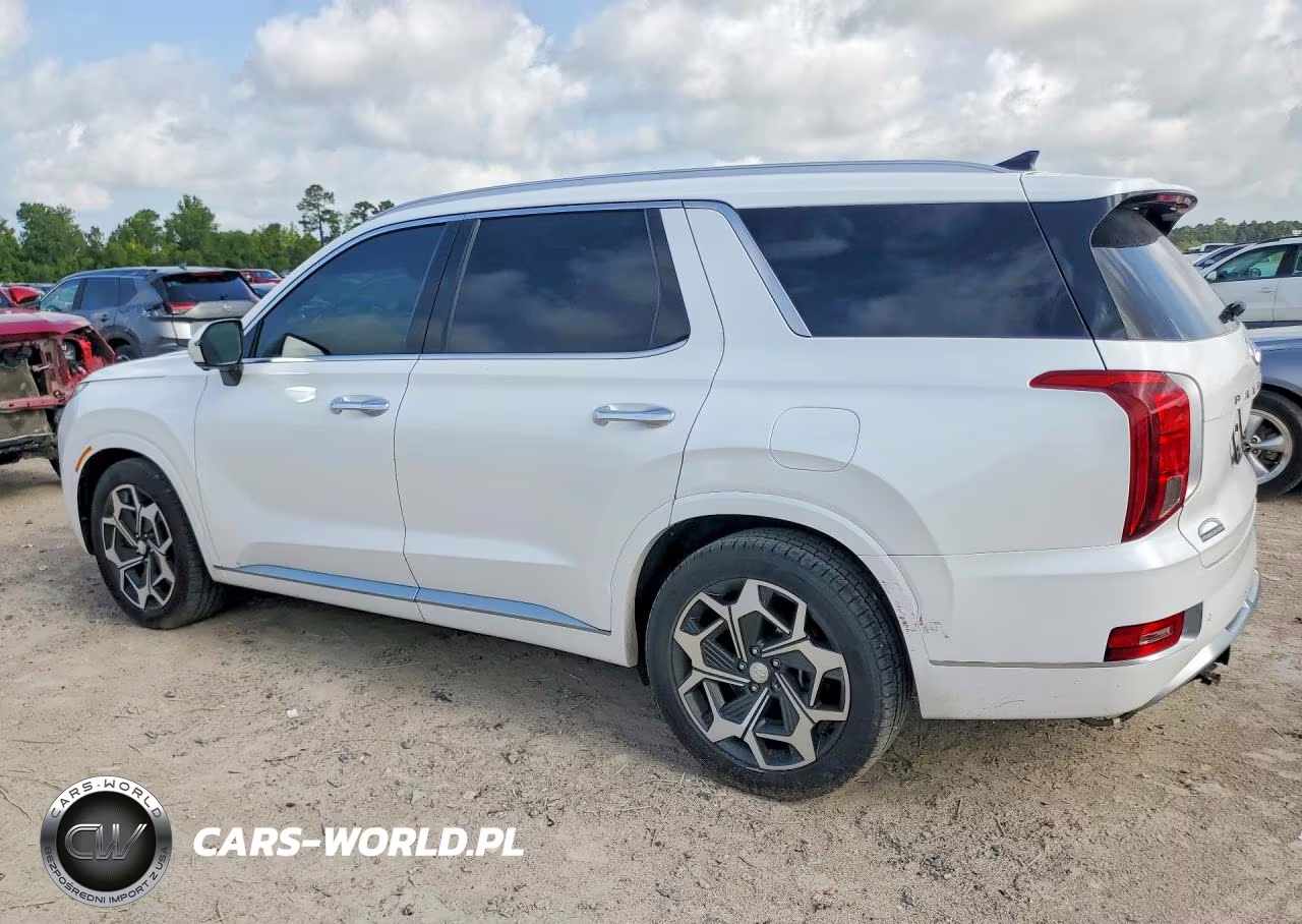 2021 Hyundai Palisade Calligraphy VIN:KM8R74HE7MU267429 - 2