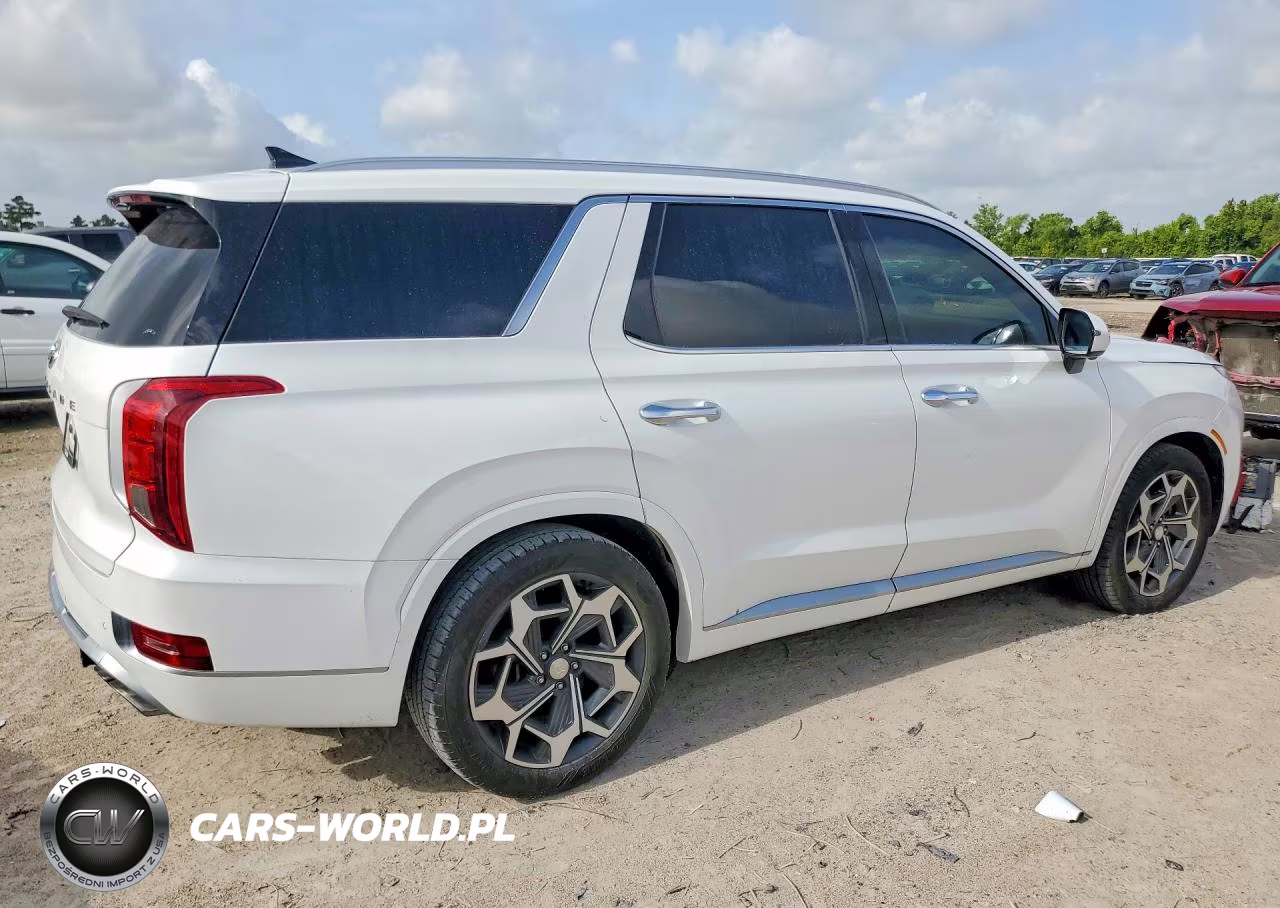 2021 Hyundai Palisade Calligraphy VIN:KM8R74HE7MU267429 - 3