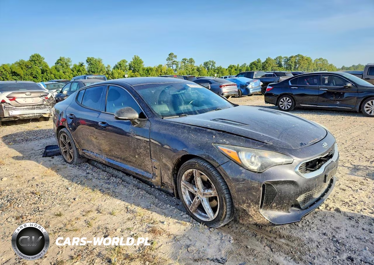 2020 Kia Stinger Gt-Line VIN:KNAE15LA1L6076460 - 4