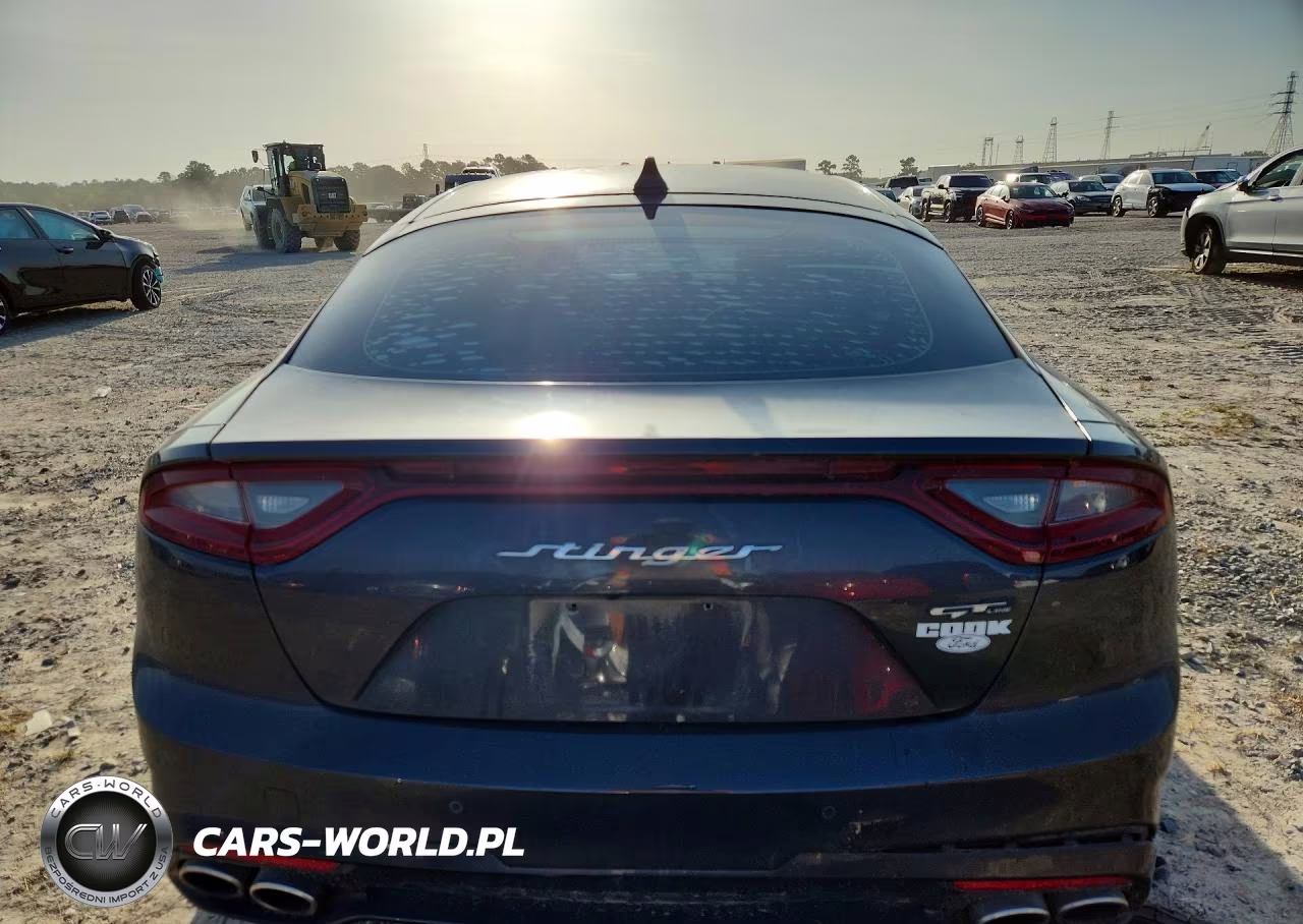 2020 Kia Stinger Gt-Line VIN:KNAE15LA1L6076460 - 6