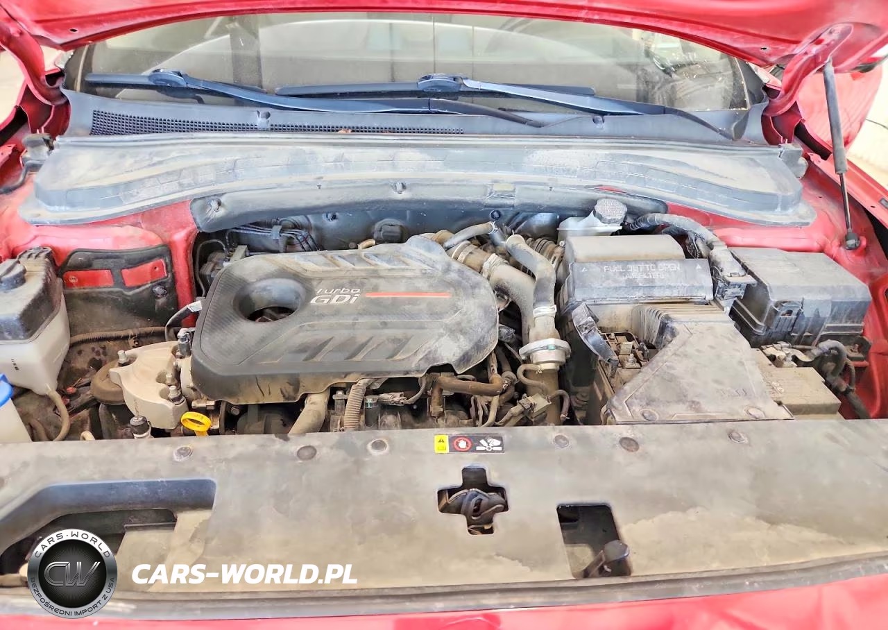 2020 Hyundai Santa Fe Limited 2.0T VIN:5NMS5CAA9LH297986 - 12