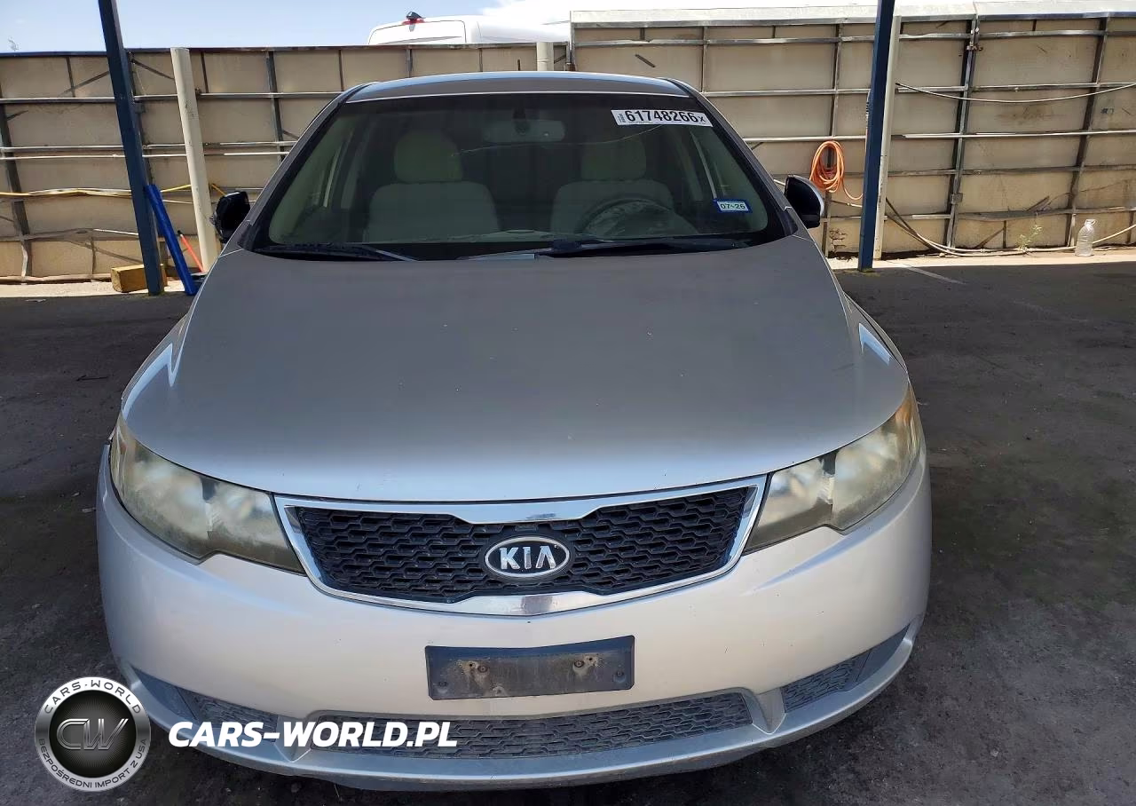 2013 Kia Forte Ex VIN:KNAFU4A23D5730206 - 5