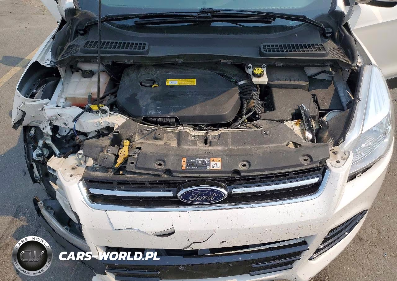 2016 Ford Escape Titanium VIN:1FMCU9JX1GUC79717 - 12