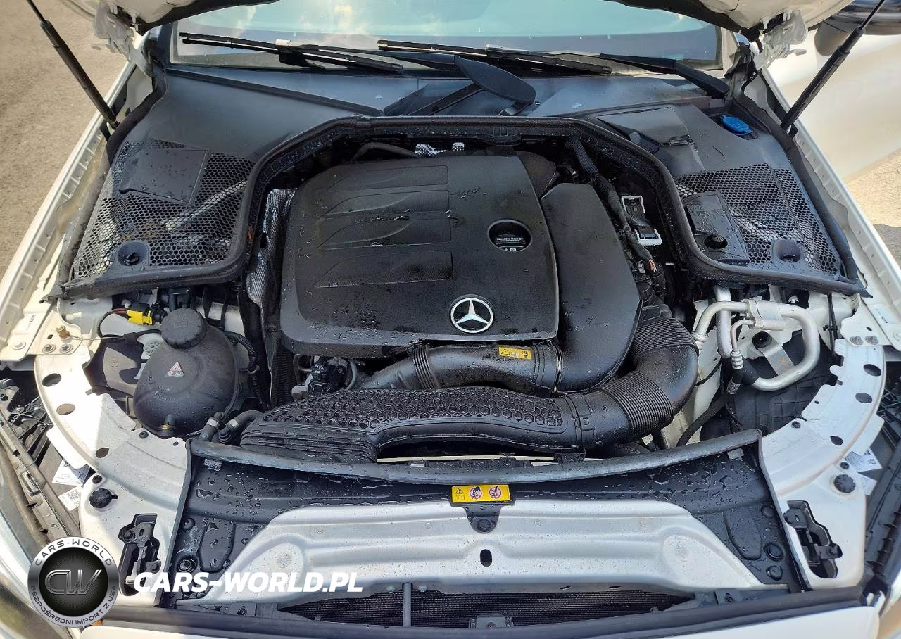 2019 Mercedes-Benz C 300 VIN:WDDWJ8DB3KF825229 - 11