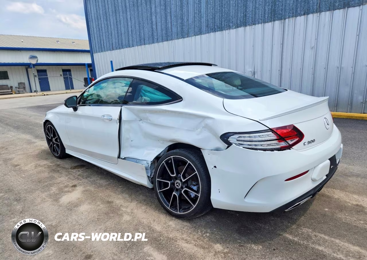 2019 Mercedes-Benz C 300 VIN:WDDWJ8DB3KF825229 - 2