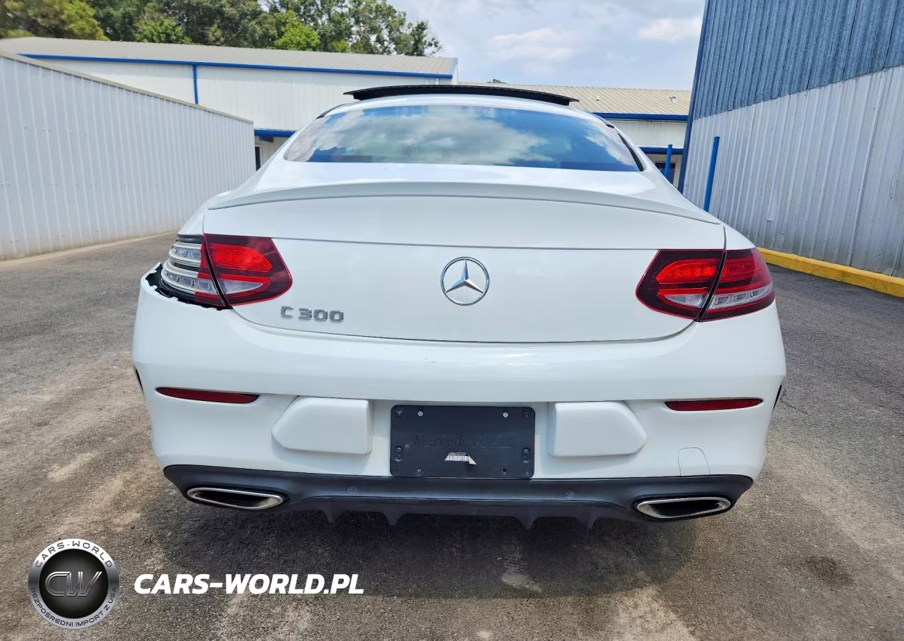 2019 Mercedes-Benz C 300 VIN:WDDWJ8DB3KF825229 - 6