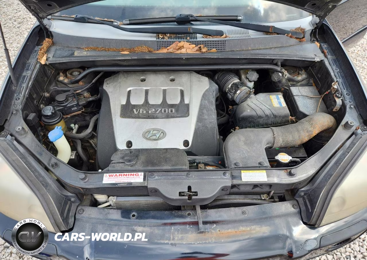 2006 Hyundai Tucson Gls VIN:KM8JN12D06U325482 - 12