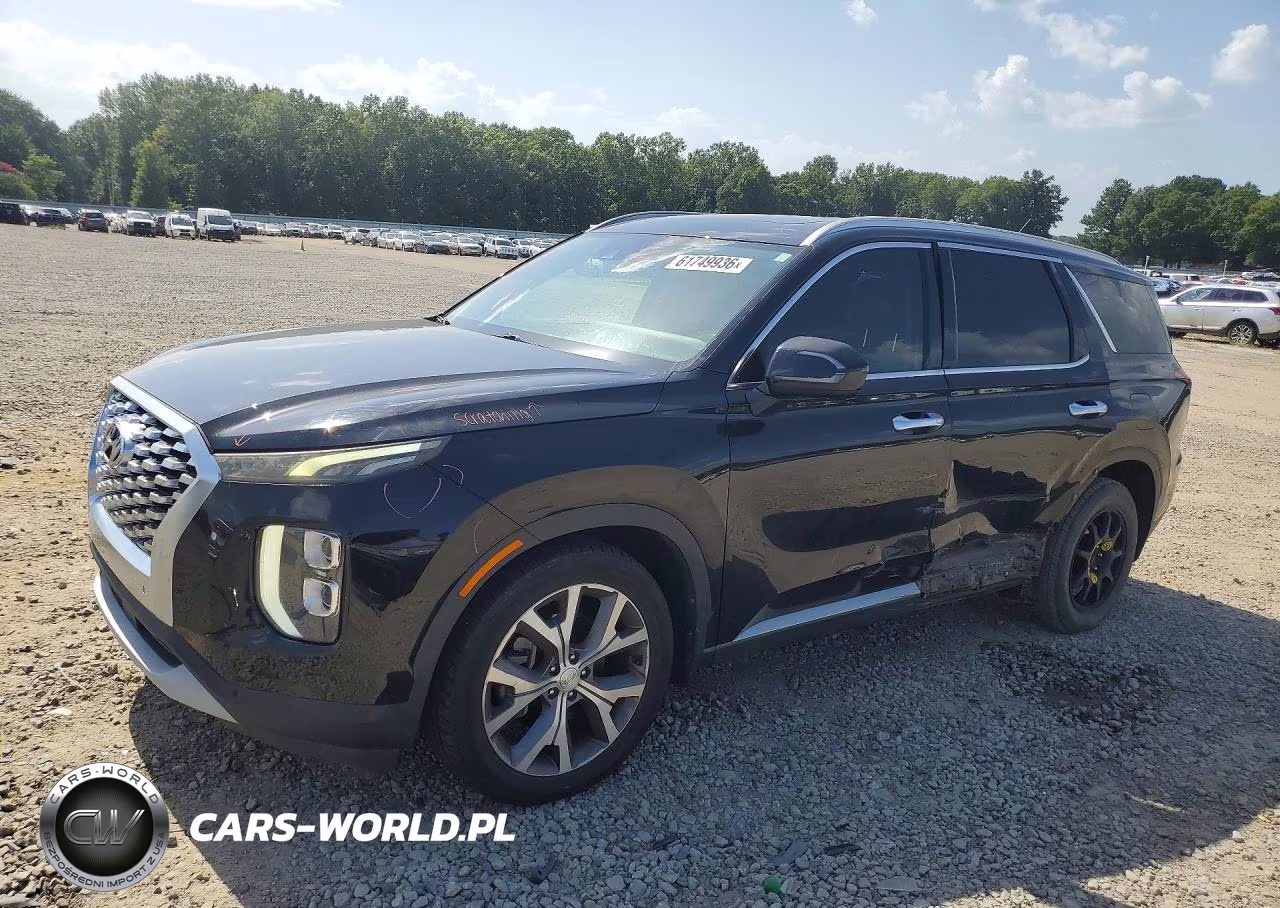 2020 Hyundai Palisade Sel VIN:KM8R34HE1LU094338 - 1