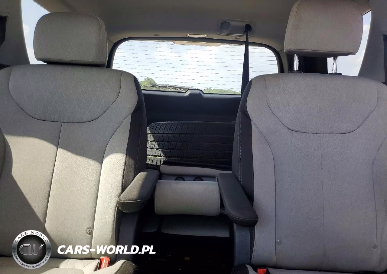 2020 Hyundai Palisade Sel VIN:KM8R34HE1LU094338 - 10