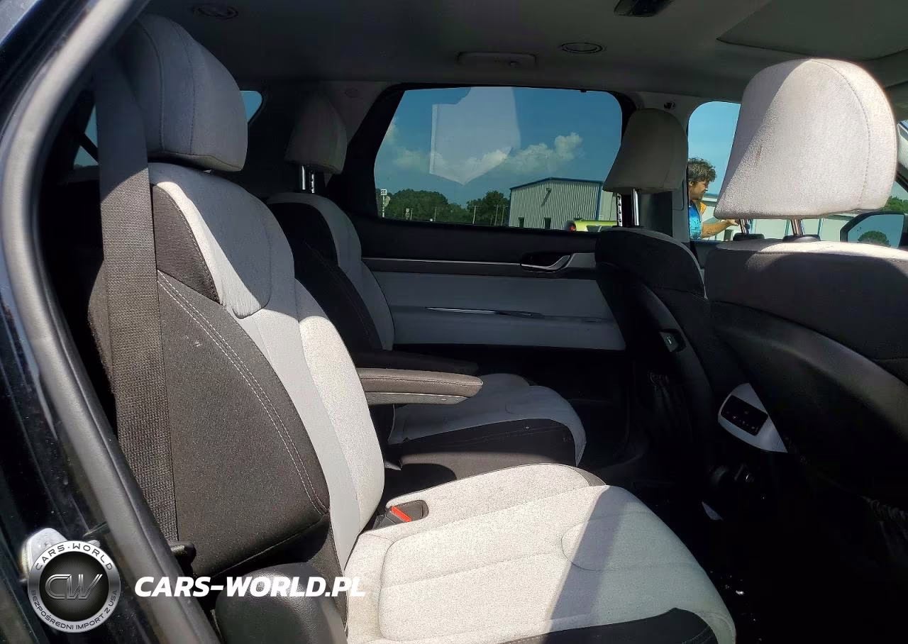 2020 Hyundai Palisade Sel VIN:KM8R34HE1LU094338 - 11